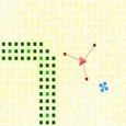 Pixel Field Game